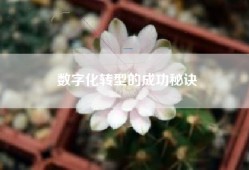 数字化转型的成功秘诀