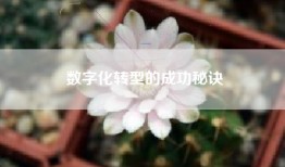数字化转型的成功秘诀