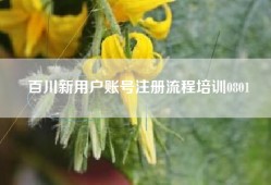 百川新用户账号注册流程培训0801