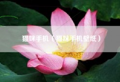 猫咪手机（猫咪手机壁纸）