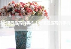 处理器最高的手机（处理器最高的手机排名）