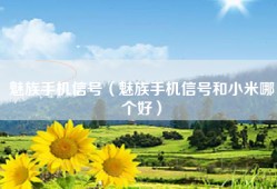 魅族手机信号（魅族手机信号和小米哪个好）