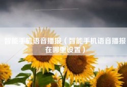 智能手机语音播报（智能手机语音播报在哪里设置）