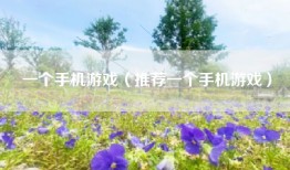 一个手机游戏(推荐一个手机游戏)