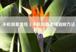 手机屏幕黑线（手机屏幕黑线消除方法教程）