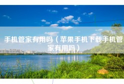 手机管家有用吗（苹果手机下载手机管家有用吗）