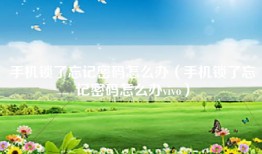 手机锁了忘记密码怎么办（手机锁了忘记密码怎么办vivo）