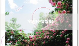 全国疫情数据