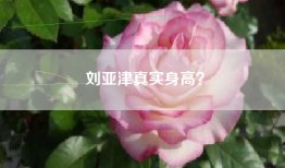 刘亚津真实身高？