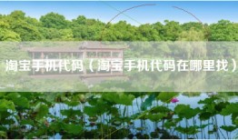 淘宝手机代码（淘宝手机代码在哪里找）