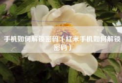 手机如何解锁密码（红米手机如何解锁密码）