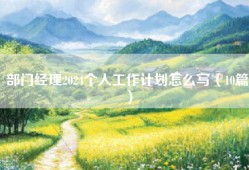 部门经理2024个人工作计划怎么写（10篇）