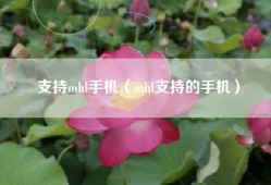 支持mhl手机（mhl支持的手机）