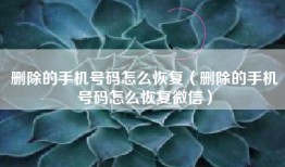 删除的手机号码怎么恢复（删除的手机号码怎么恢复微信）
