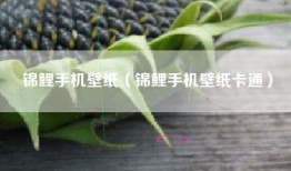 锦鲤手机壁纸（锦鲤手机壁纸卡通）