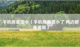 手机屏幕变小（手机屏幕变小了 两边都是黑屏）