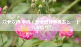 双卡双待 手机（双卡双待手机怎么一个卡没信号）