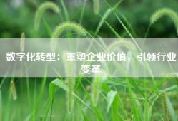 数字化转型：重塑企业价值，引领行业变革
