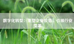 数字化转型：重塑企业价值，引领行业变革