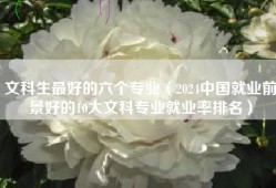 文科生最好的六个专业（2024中国就业前景好的10大文科专业就业率排名）