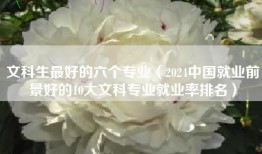 文科生最好的六个专业(2024中国就业前景好的10大文科专业就业率排名)