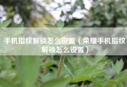 手机指纹解锁怎么设置（荣耀手机指纹解锁怎么设置）
