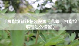 手机指纹解锁怎么设置（荣耀手机指纹解锁怎么设置）