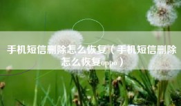 手机短信删除怎么恢复（手机短信删除怎么恢复oppo）