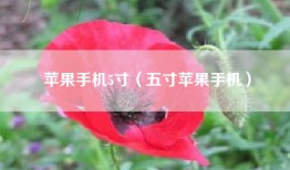 苹果手机5寸（五寸苹果手机）