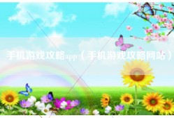 手机游戏攻略app（手机游戏攻略网站）