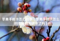 苹果手机卡怎么回事（苹果手机卡怎么回事是因为进水了吗）