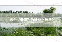 这个“天团”为啥总上热搜？