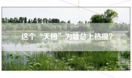 这个“天团”为啥总上热搜？