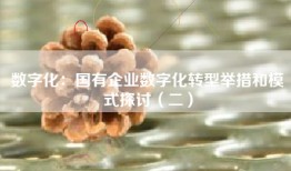 数字化：国有企业数字化转型举措和模式探讨（二）