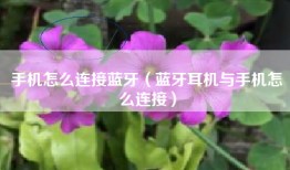手机怎么连接蓝牙（蓝牙耳机与手机怎么连接）