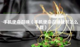 手机使命召唤（手机使命召唤战区怎么下载）