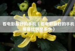 看电影最好的手机（看电影最好的手机屏幕比例是多少）