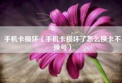 手机卡损坏（手机卡损坏了怎么换卡不换号）