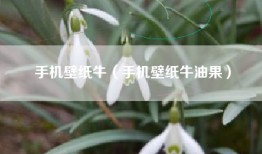 手机壁纸牛（手机壁纸牛油果）