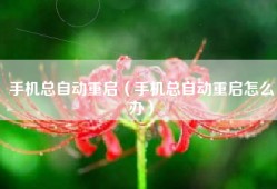 手机总自动重启（手机总自动重启怎么办）