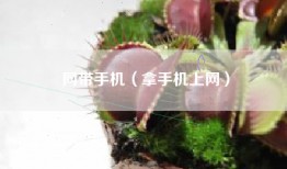 网带手机（拿手机上网）