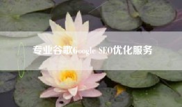 专业谷歌Google SEO优化服务