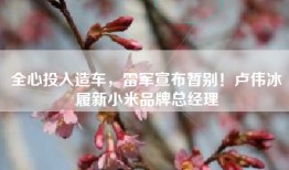 全心投入造车，雷军宣布暂别！卢伟冰履新小米品牌总经理