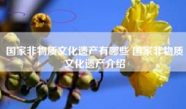 国家非物质文化遗产有哪些 国家非物质文化遗产介绍
