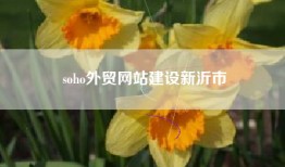soho外贸网站建设新沂市