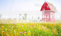手机上不了网怎么回事（手机上不了网怎么回事可以连wifi）