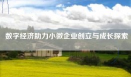 数字经济助力小微企业创立与成长探索