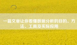 一篇文章让你看懂数据分析的目的、方法、工具及实际应用