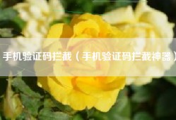手机验证码拦截（手机验证码拦截神器）