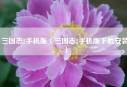 三国志2手机版（三国志2手机版下载安装）